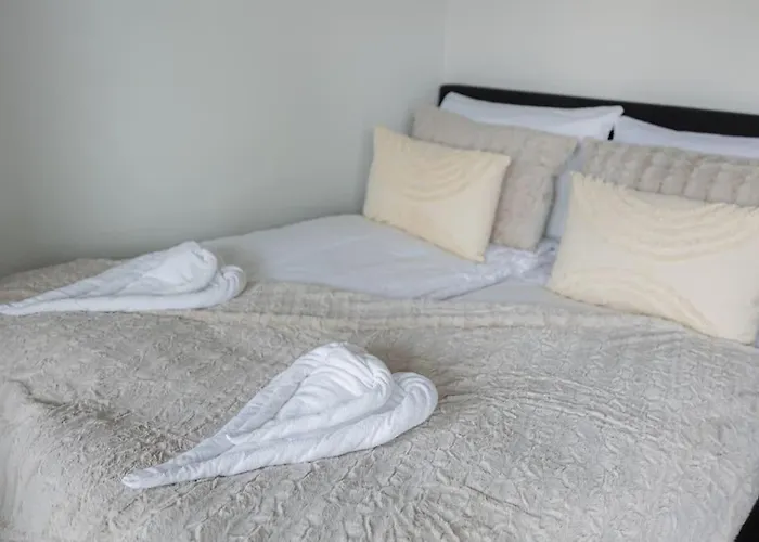 On Freedom Street By Booklapland Daire